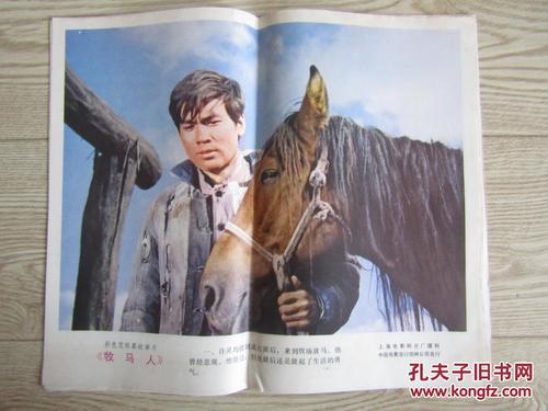 鹿特丹伊拉斯谟大学 Business diplom